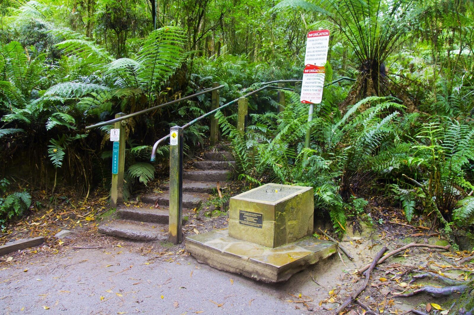 1000 steps trail